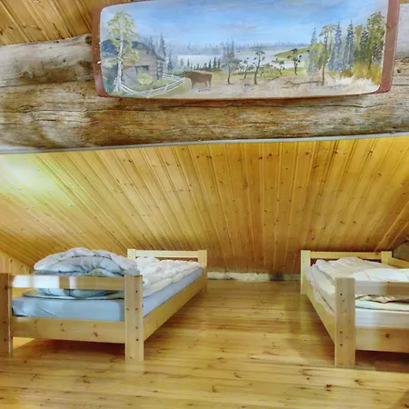 Ferienhaus Hankisaeaeski By Interhome