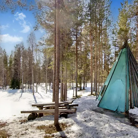 Ferienhaus Hankisaeaeski By Interhome