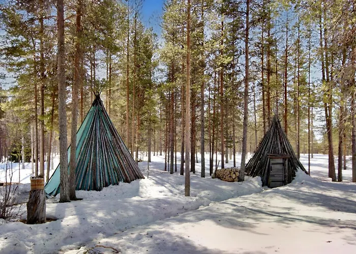 Hankisaeaeski By Interhome 別荘