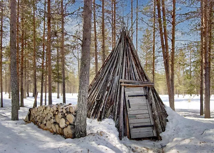 Hankisaeaeski By Interhome 別荘 Ylläsjärvi